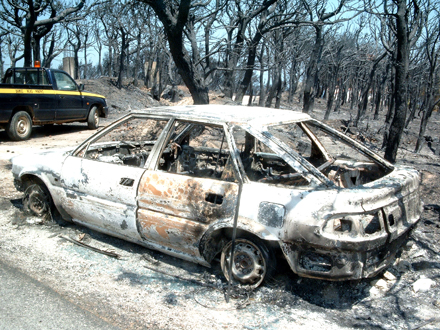 feuer waldbrand autowrack