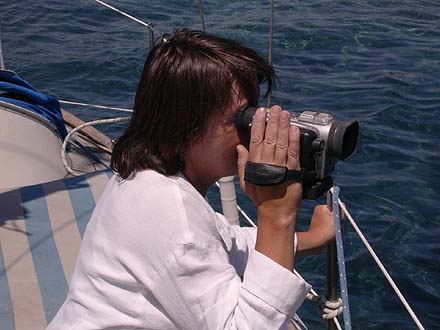 Segeltour