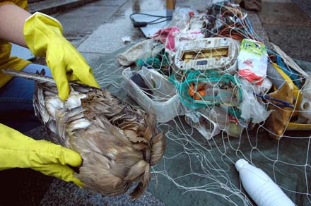 Greenpeace