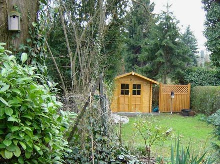 Eigentlich h�tte dieser Baum (links) hier gar nicht gepflanzt werden d�rfen