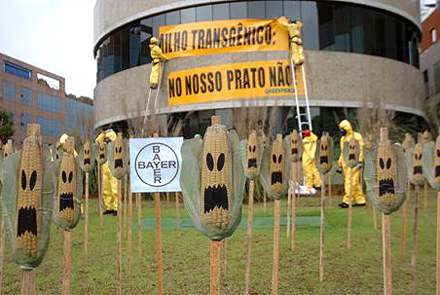 proteste in brasilien